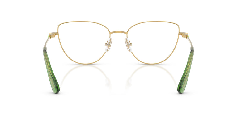 Swarovski SK1007 4017 55