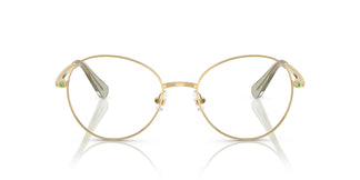 Swarovski SK1013 4017 52