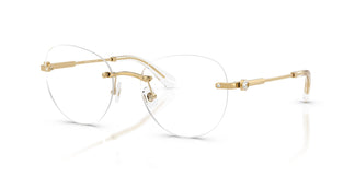 Swarovski SK1021  4004 53