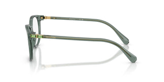 Swarovski SK2002 1043 53