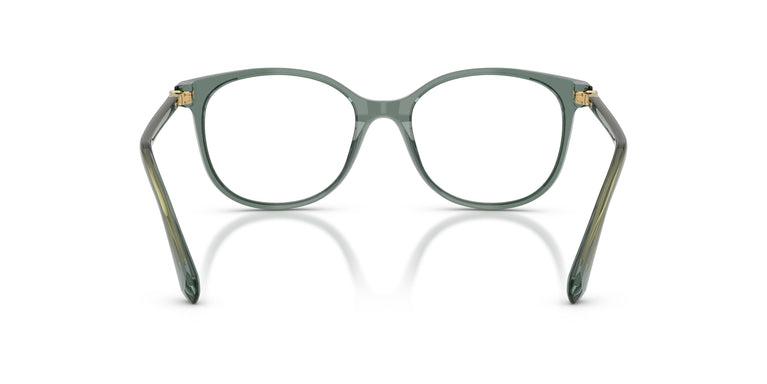 Swarovski SK2002 1043 53