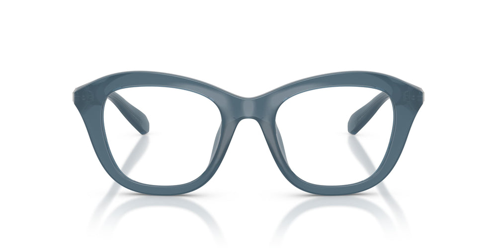 Swarovski SK2042U  1035 48