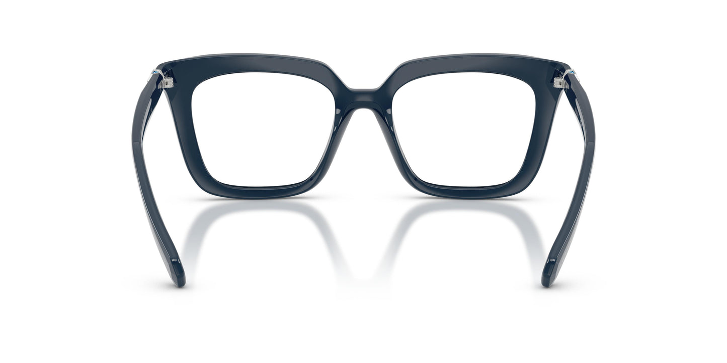 Swarovski SK2043  1004 49