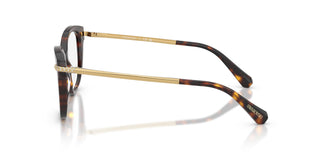 Swarovski SK2044  1002 51