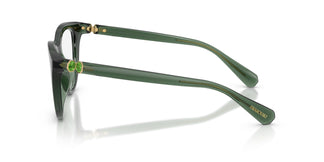 Swarovski SK2052 1043 49