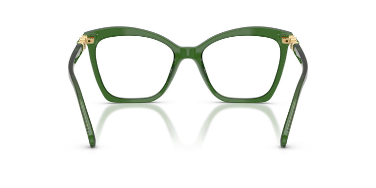 Swarovski SK2053 1081 54