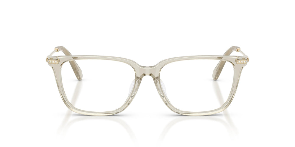 Swarovski SK2067D 3003 53