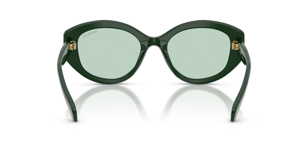 Swarovski SK6005 1026M1 53