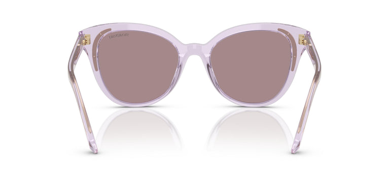 Swarovski SK6031  1079LA 53