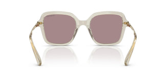 Swarovski SK6040 3003LA 50