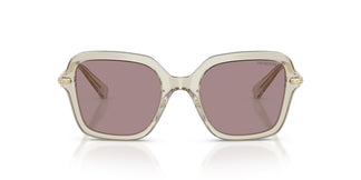 Swarovski SK6040 3003LA 50