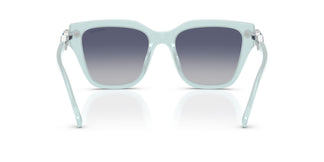 Swarovski SK6041  10244L 53