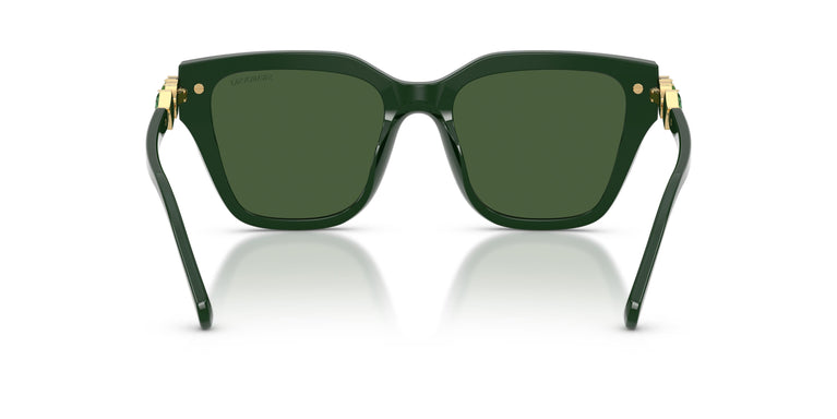 Swarovski SK6041  102671 53