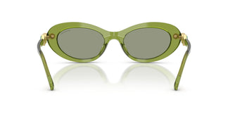 Swarovski SK6042  3002/2 53