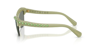 Swarovski SK6043  10746R 55