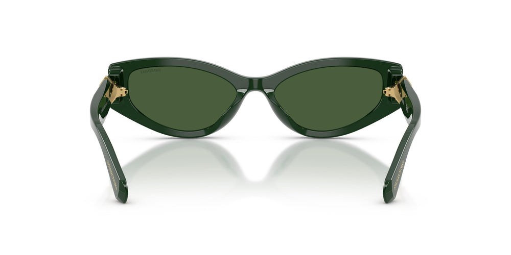 Swarovski SK6045U 102671 55