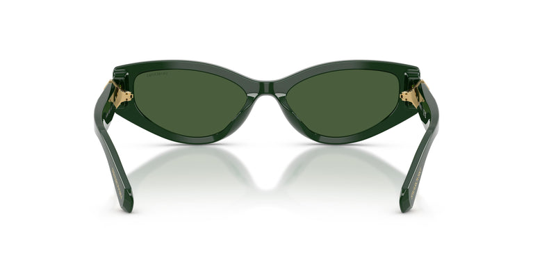 Swarovski SK6045U 102671 55