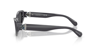 Swarovski SK6045U 10836G 55