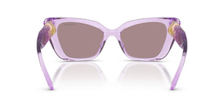 Swarovski SK6047 1079LA 54