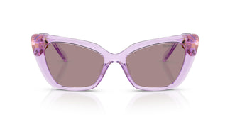 Swarovski SK6047 1079LA 54