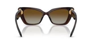 Swarovski SK6047 1084T5 54