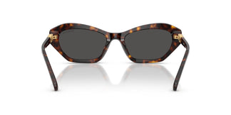 Swarovski SK6048 100287 54