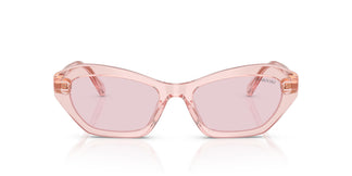 Swarovski SK6048 1070P5 54