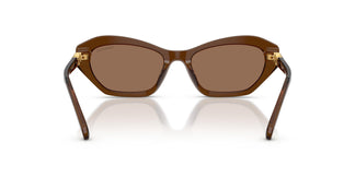 Swarovski SK6048 108473 54