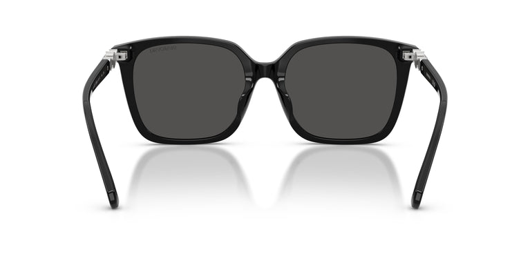 Swarovski SK6053D 103887 55