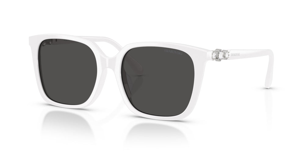 Swarovski SK6053D 105087 55
