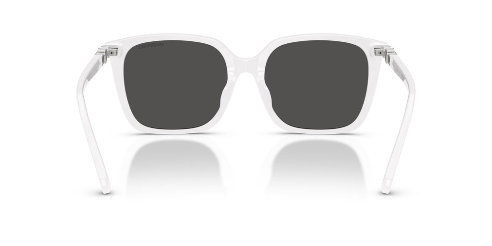 Swarovski SK6053D 105087 55