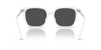 Swarovski SK6053D 105087 55