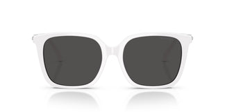 Swarovski SK6053D 105087 55