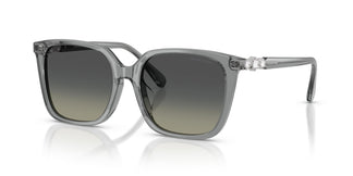 Swarovski SK6053D 106211 55