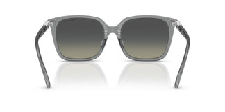 Swarovski SK6053D 106211 55