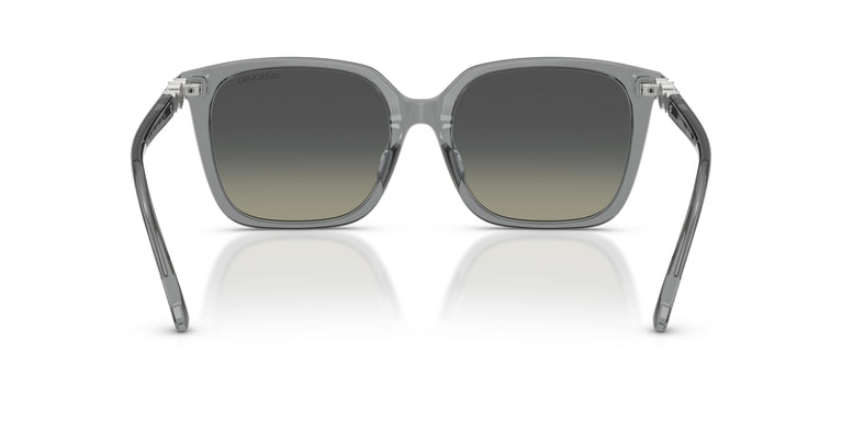 Swarovski SK6053D 106211 55