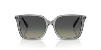 Swarovski SK6053D 106211 55