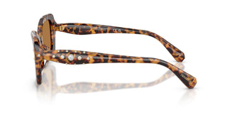 Swarovski SK6058U 104073 54