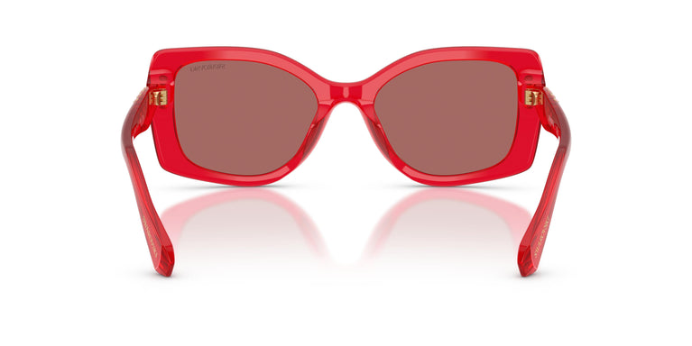 Swarovski SK6058U 110369 54