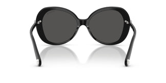 Swarovski SK6059 103887 55