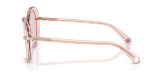 Swarovski SK6059 1070P5 55