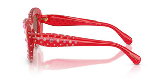Swarovski SK6060 110369 49