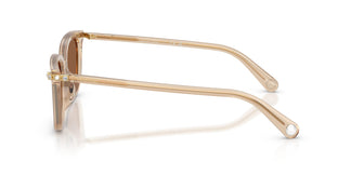 Swarovski SK6064D 1034OK 56