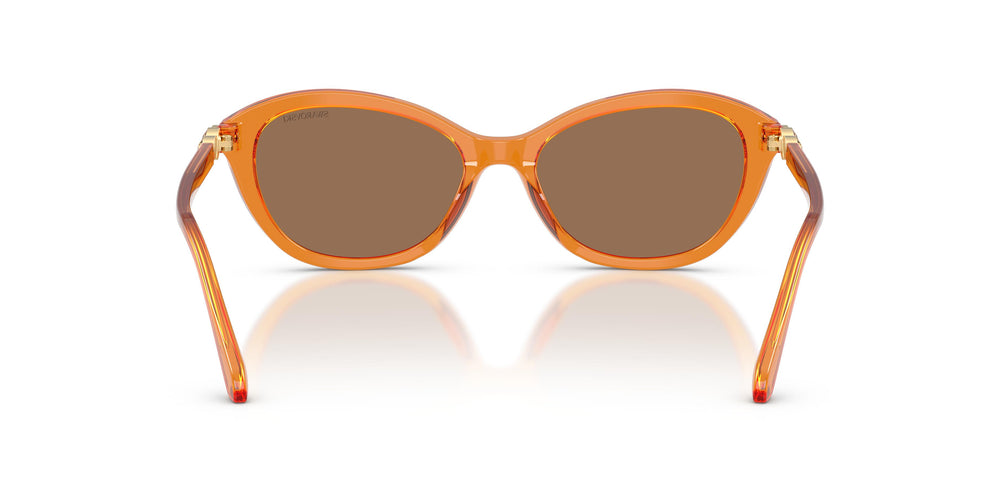 Swarovski SK6066U 111973 54