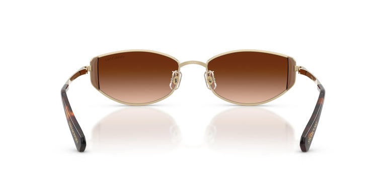 Swarovski SK7035D  401374 53
