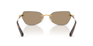 Swarovski SK7038 40077J 58