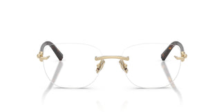 Tiffany TF1170D 6189 54