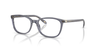 Tiffany TF2109HB  8405 53
