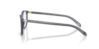 Tiffany TF2109HB  8405 53