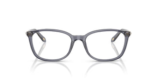 Tiffany TF2109HB  8405 53
